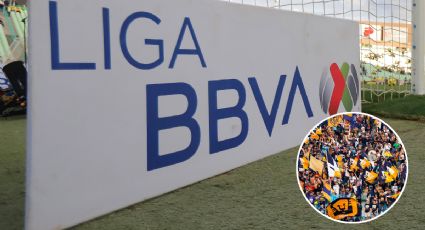 Liga MX bloquea FAN ID del aficionado responsable de la pelea en el Pumas vs América