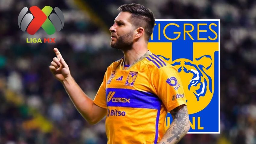 ¿Gignac estará con Tigres en la Jornada 12? Esto sabemos sobre su lesión