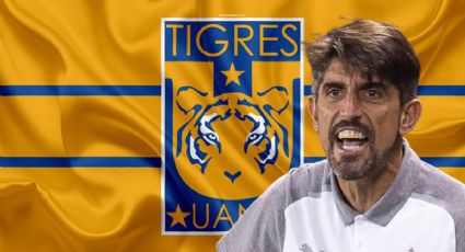 Tigres despide a Veljko Paunovic, ¿Quién sería su relevo por lo que resta del Clausura 2025?