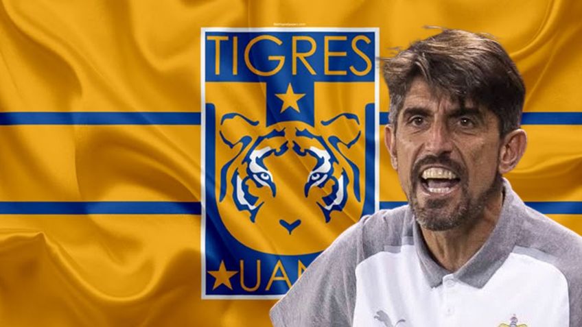 Tigres despide a Veljko Paunovic, ¿Quién sería su relevo por lo que resta del Clausura 2025?