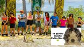 Foto ilustrativa de la nota titulada: Survivor México: Los MEMES se rinden ante la primera victoria de Pablo Martí y los Héroes