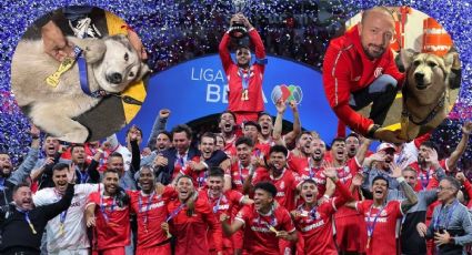 Liga MX: Once, la perrita husky que ayudó a Toluca a ganar el Torneo Clausura 2025