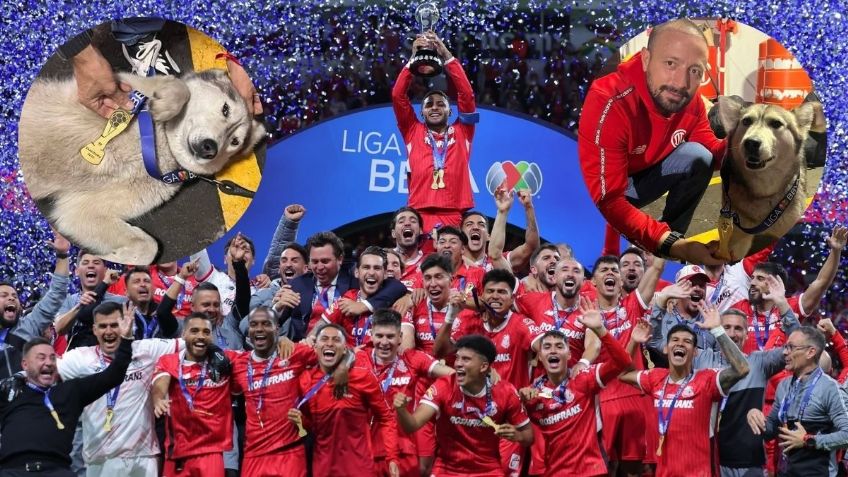 Liga MX: Once, la perrita husky que ayudó a Toluca a ganar el Torneo Clausura 2025