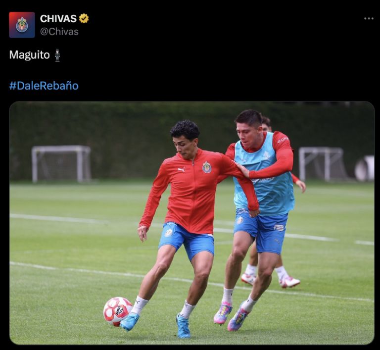 Captura de pantalla: X