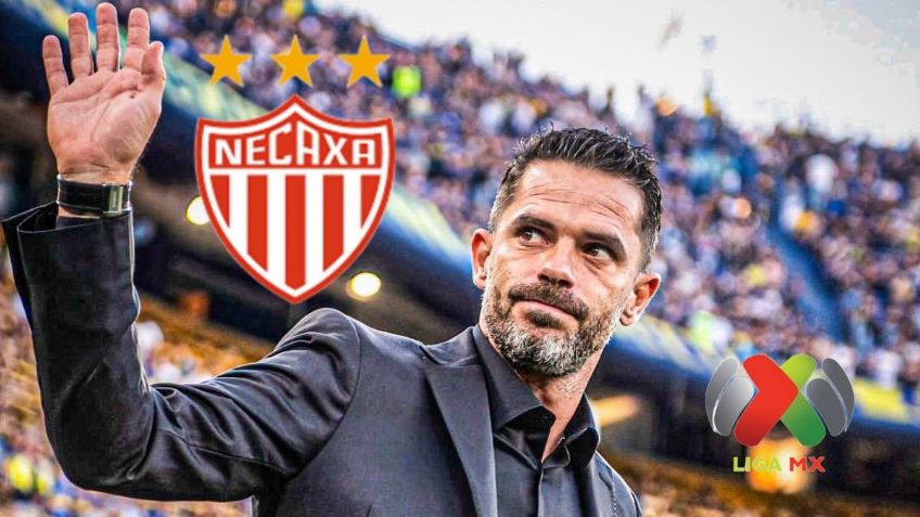 Fernando Gago volvería a la Liga MX: Necaxa lo quiere para sustituir a Nicolás Larcamón