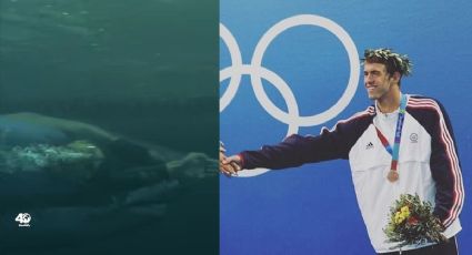¿Michael Phelps le ganó en una carrera a un tiburón?