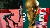 Foto ilustrativa de la nota titulada: Conoce a la Generación FIFA, los perritos que reforzarán la seguridad del Mundial 2026 en México