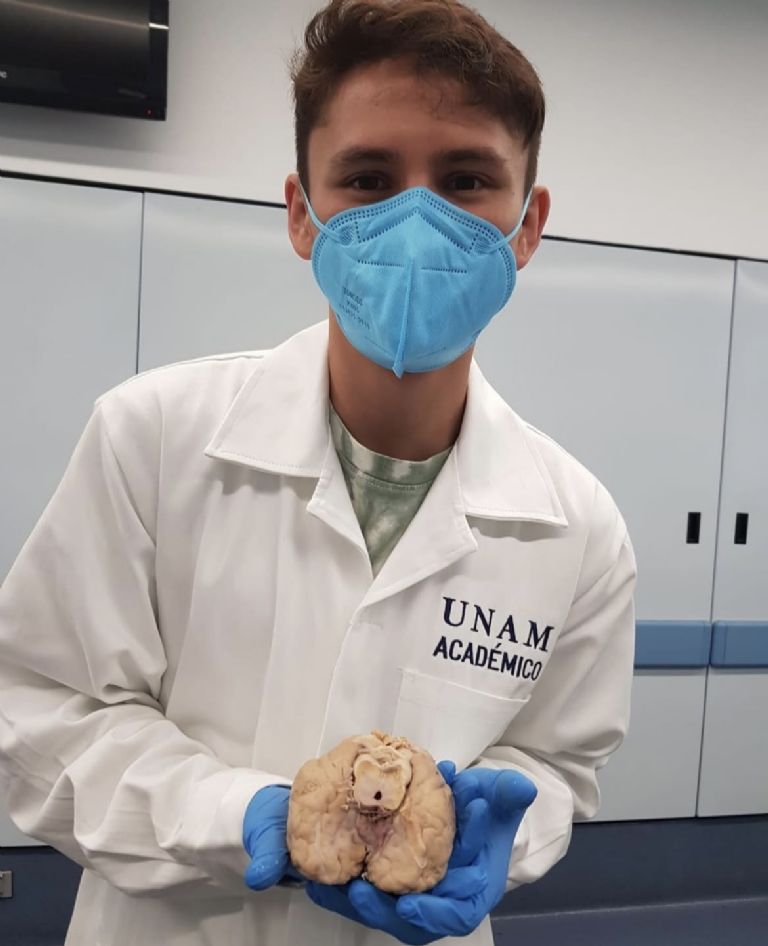 IG: @reydavidpicasso