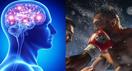 ¿Qué es el síndrome del boxeador? La enfermedad que puede acabar con la vida de los pugilistas