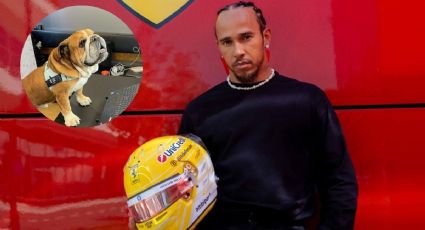 Lewis Hamilton vive "horas aterradoras" por la delicada salud de su perro Roscoe