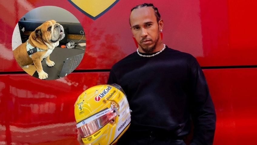 Lewis Hamilton vive "horas aterradoras" por la delicada salud de su perro Roscoe