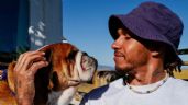 Foto ilustrativa de la nota titulada: Lewis Hamilton lamenta la muerte de su perro Roscoe y honra su amistad: "Fue un angel”