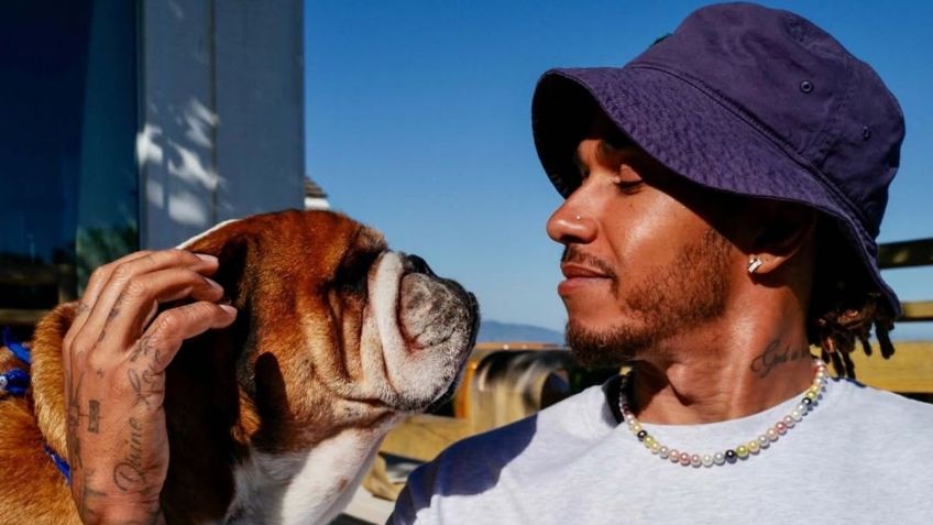 Lewis Hamilton lamenta la muerte de su perro Roscoe y honra su amistad: "Fue un angel”