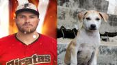 Foto ilustrativa de la nota titulada: Connor Panas, el pelotero de Piratas de Campeche que alimenta perros callejeros en el malecón