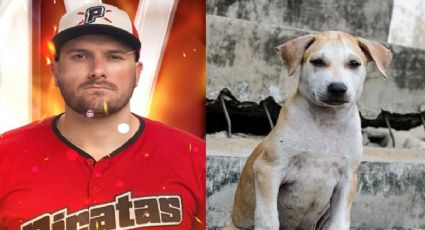Connor Panas, el pelotero de Piratas de Campeche que alimenta perros callejeros en el malecón