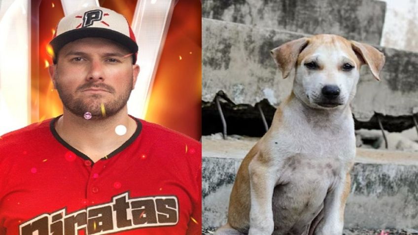 Connor Panas, el pelotero de Piratas de Campeche que alimenta perros callejeros en el malecón