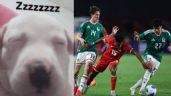 Foto ilustrativa de la nota titulada: Los MEMES no perdonan a la Selección Mexicana en su victoria por autogol de Panamá | VIDEO