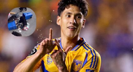 ¡Visita sorpresa! Uriel Antuna capta invasión de osos en su casa de Monterrey | VIDEO