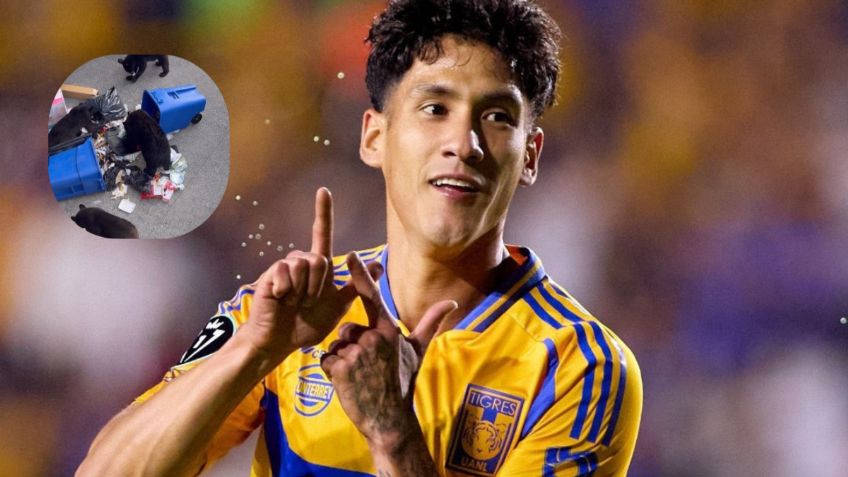 ¡Visita sorpresa! Uriel Antuna capta invasión de osos en su casa de Monterrey | VIDEO