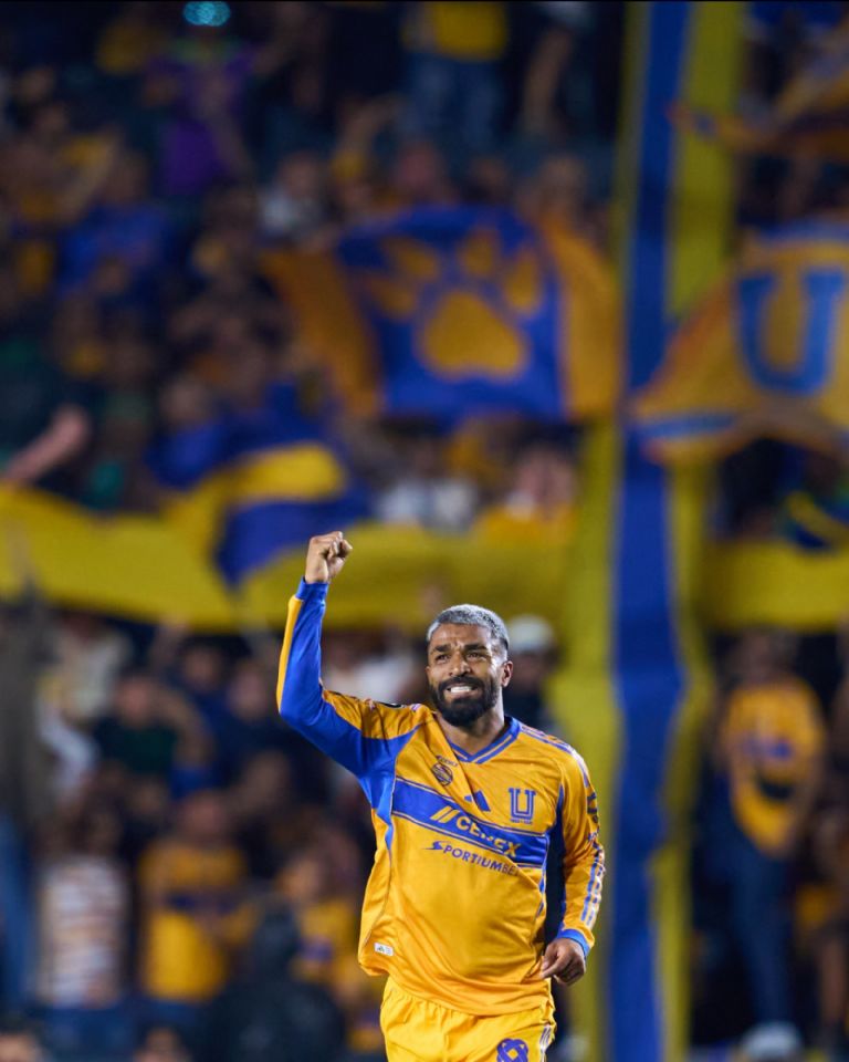 X: @TigresOficial