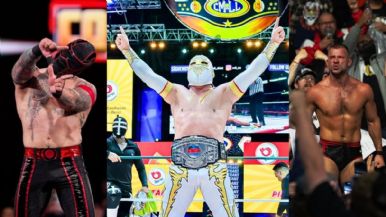 Descripción de la imagen