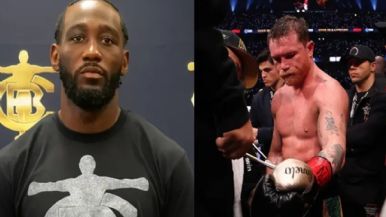 Descripción de la imagen