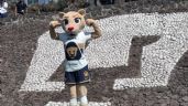 Foto ilustrativa de la nota titulada: Así luce Goya, la nueva mascota de Pumas Femenil que enamoró a la afición | VIDEO