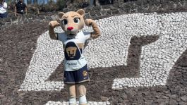 Foto que representa a Así luce Goya, la nueva mascota de Pumas Femenil que enamoró a la afición | VIDEO