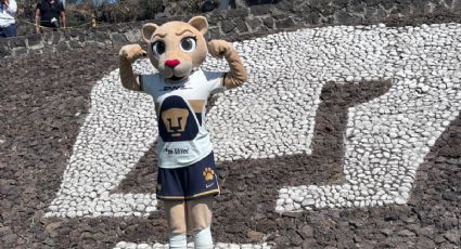 Así luce Goya, la nueva mascota de Pumas Femenil que enamoró a la afición | VIDEO