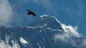 Foto ilustrativa de la nota titulada: ¿Quieres subir al Everest? Nepal endurece reglas para evitar tragedias