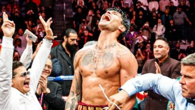 Descripción de la imagen