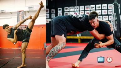 Descripción de la imagen