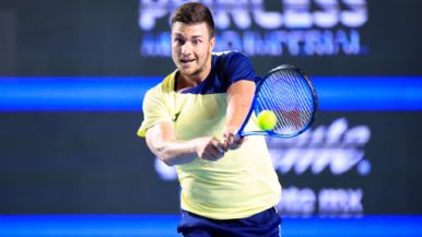 Descripción de la imagen