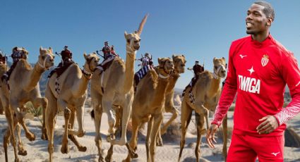Ganó el Mundial 2018, pero fue castigado por dopaje; hoy goza de las carreras de camellos