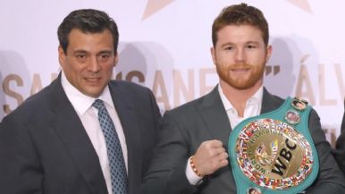 Descripción de la imagen