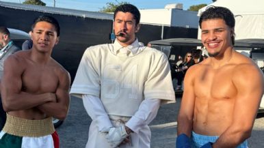 Descripción de la imagen