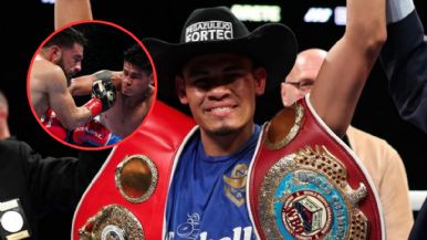 Descripción de la imagen