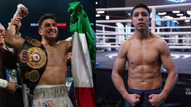 Descripción de la imagen