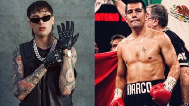 Descripción de la imagen