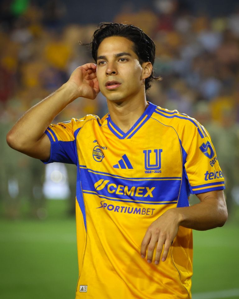 X: @TigresOficial