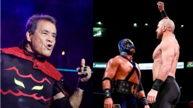 Descripción de la imagen