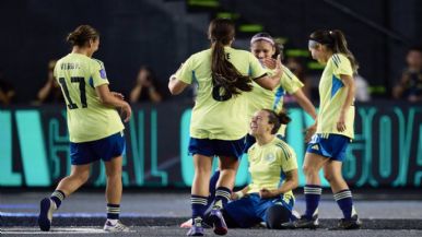 Descripción de la imagen