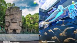 Foto que representa a Mundial 2026 llega a Museos de la CDMX; ¿qué exposiciones inéditas habrá?