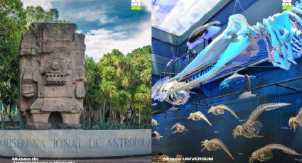 Mundial 2026 llega a Museos de la CDMX; ¿qué exposiciones inéditas habrá?