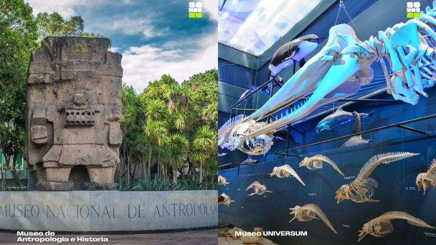 Mundial 2026 llega a Museos de la CDMX; ¿qué exposiciones inéditas habrá?