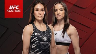 Descripción de la imagen