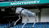 Foto ilustrativa de la nota titulada: Perros Robot vigilan el Estadio Monterrey en el Bolivia vs Surinam del Repechaje mundialista | VIDEO