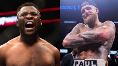 Descripción de la imagen