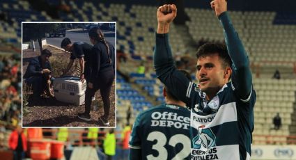 Estrella del Pachuca rescata a perrito herido y conmueve a la Liga MX con tierno mensaje