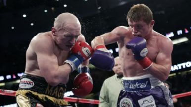 Descripción de la imagen